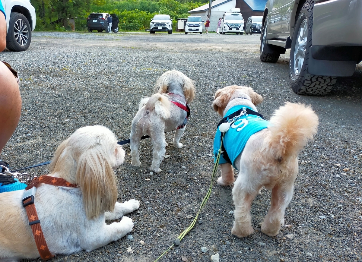 白馬塩の道温泉 倉下の湯 くるま旅クラブ くるま旅パーク キャンピングトレーラー 車中泊 旅犬 シーズー