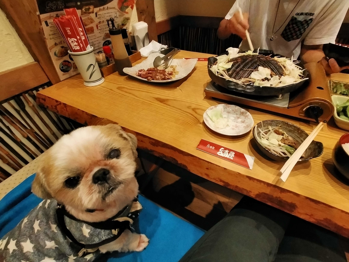 白馬 白馬村 ペット可 食事 居酒屋 呑者屋 のんじゃえ