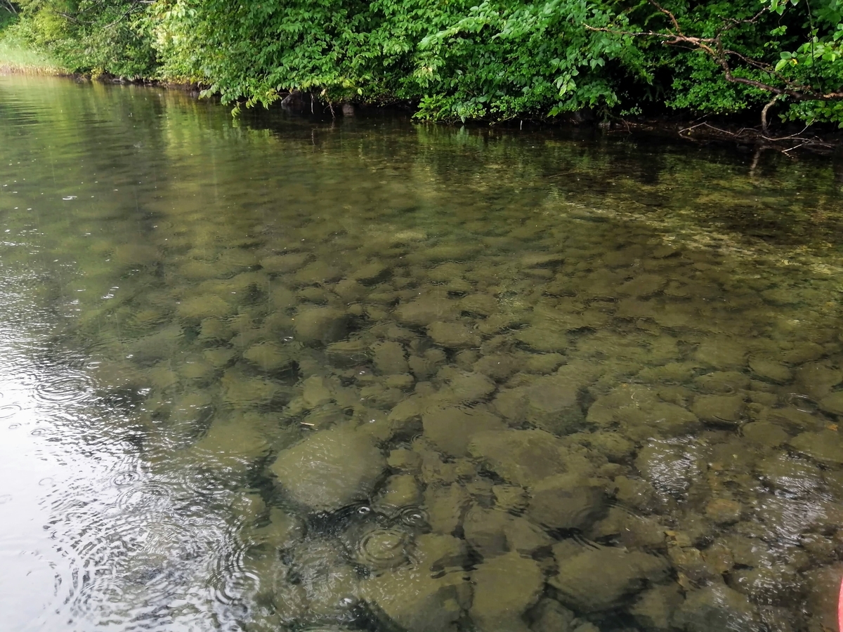 長野県⁡ 白馬⁡ 大町⁡ 青木湖⁡ 白馬ライオンアドベンチャー⁡ 青木湖わんわんエアカヌー カヤック