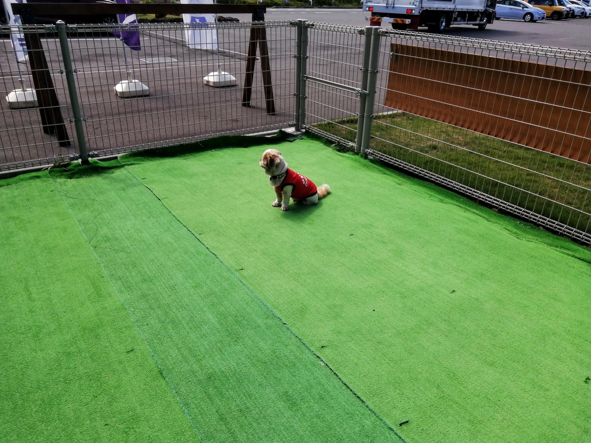 長野県⁡ 信州 ⁡安曇野⁡ 手打ち蕎麦 ⁡sobaandcafesanpo ⁡蕎麦カフェさんぽ⁡ ペット可⁡ ドッグラン