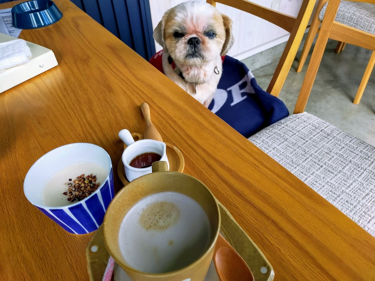 長野県⁡ 信州 ⁡安曇野⁡ 手打ち蕎麦 ⁡sobaandcafesanpo ⁡蕎麦カフェさんぽ⁡ ペット可⁡ ドッグラン