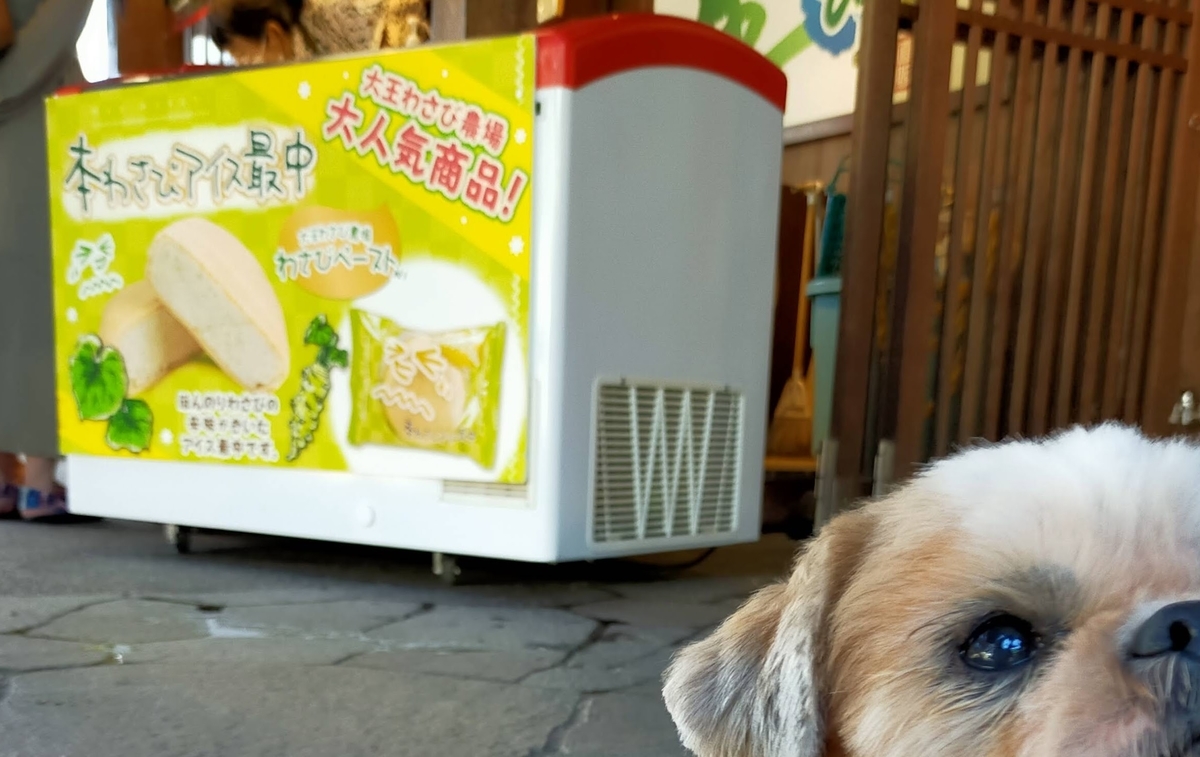 長野県⁡ 信州⁡ 安曇野⁡ 安曇野市⁡ 大王わさび農場⁡ わさび⁡ ペット可⁡ 本わさびアイス最中⁡