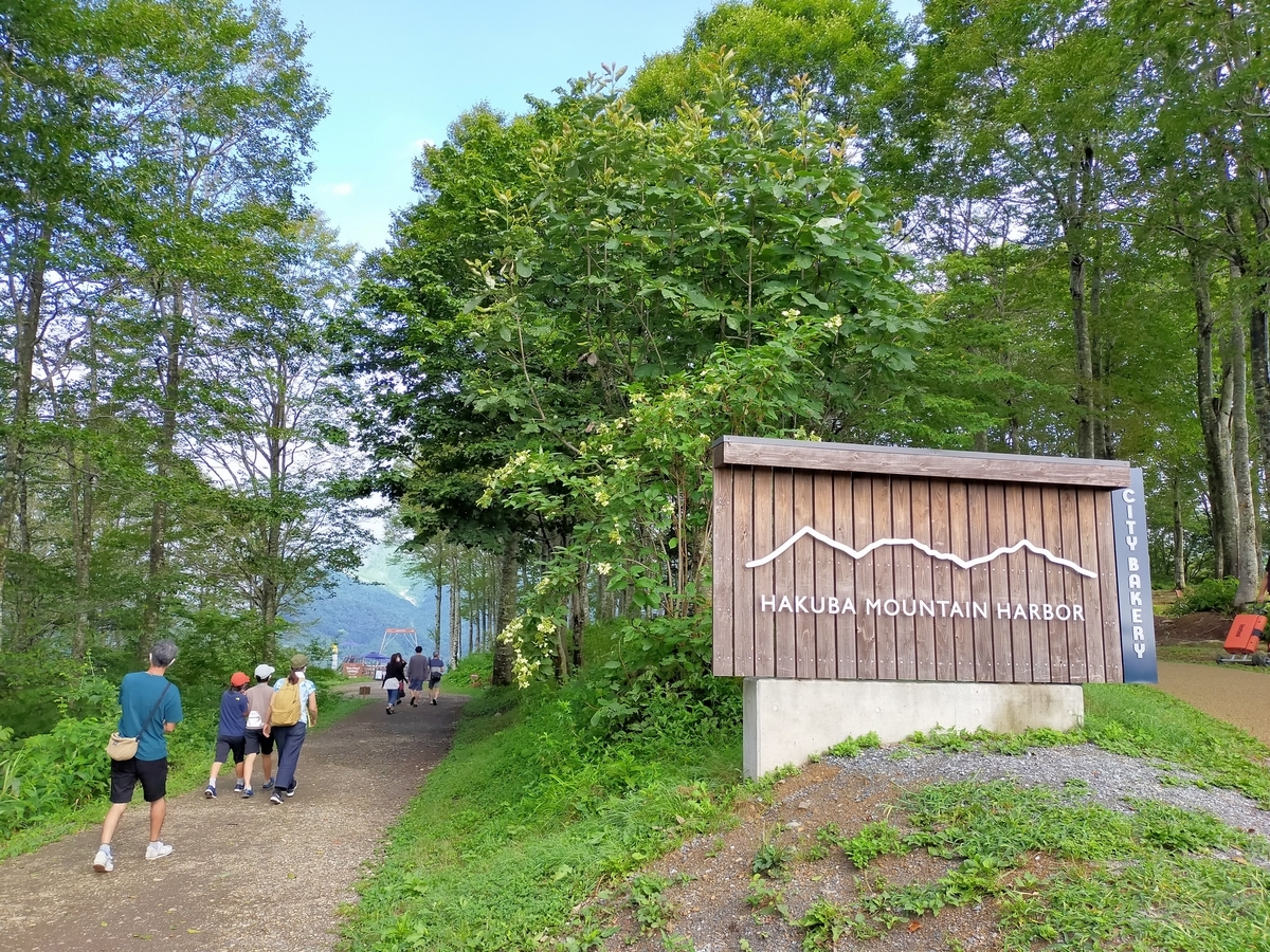 シーズー⁡ 長野県⁡ 信州⁡ 白馬⁡ 岩岳⁡ 白馬岩岳マウンテンリゾート⁡ 白馬マウンテンハーバー⁡ ペット可⁡ 北アルプス⁡ 絶景⁡