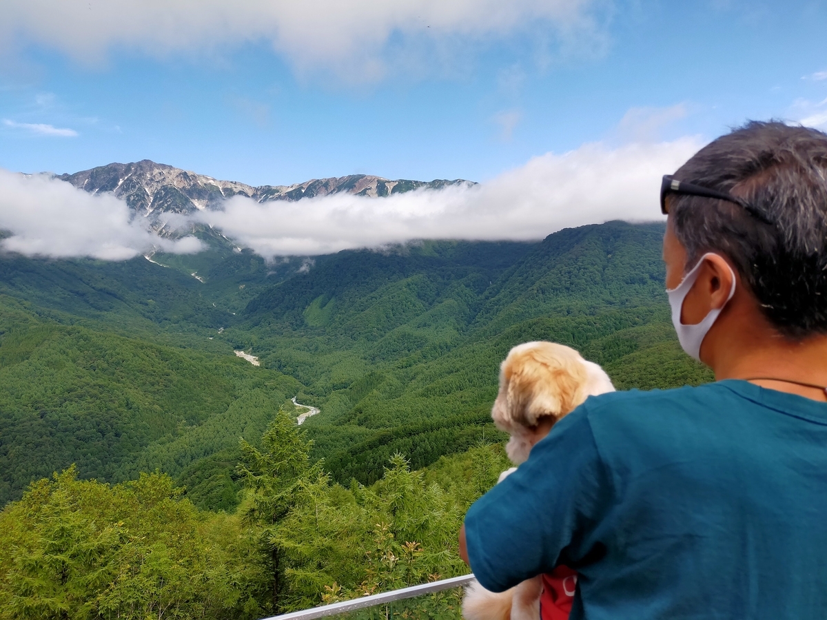 シーズー⁡ 長野県⁡ 信州⁡ 白馬⁡ 岩岳⁡ 白馬岩岳マウンテンリゾート⁡ 白馬マウンテンハーバー⁡ ペット可⁡ 北アルプス⁡ 絶景⁡