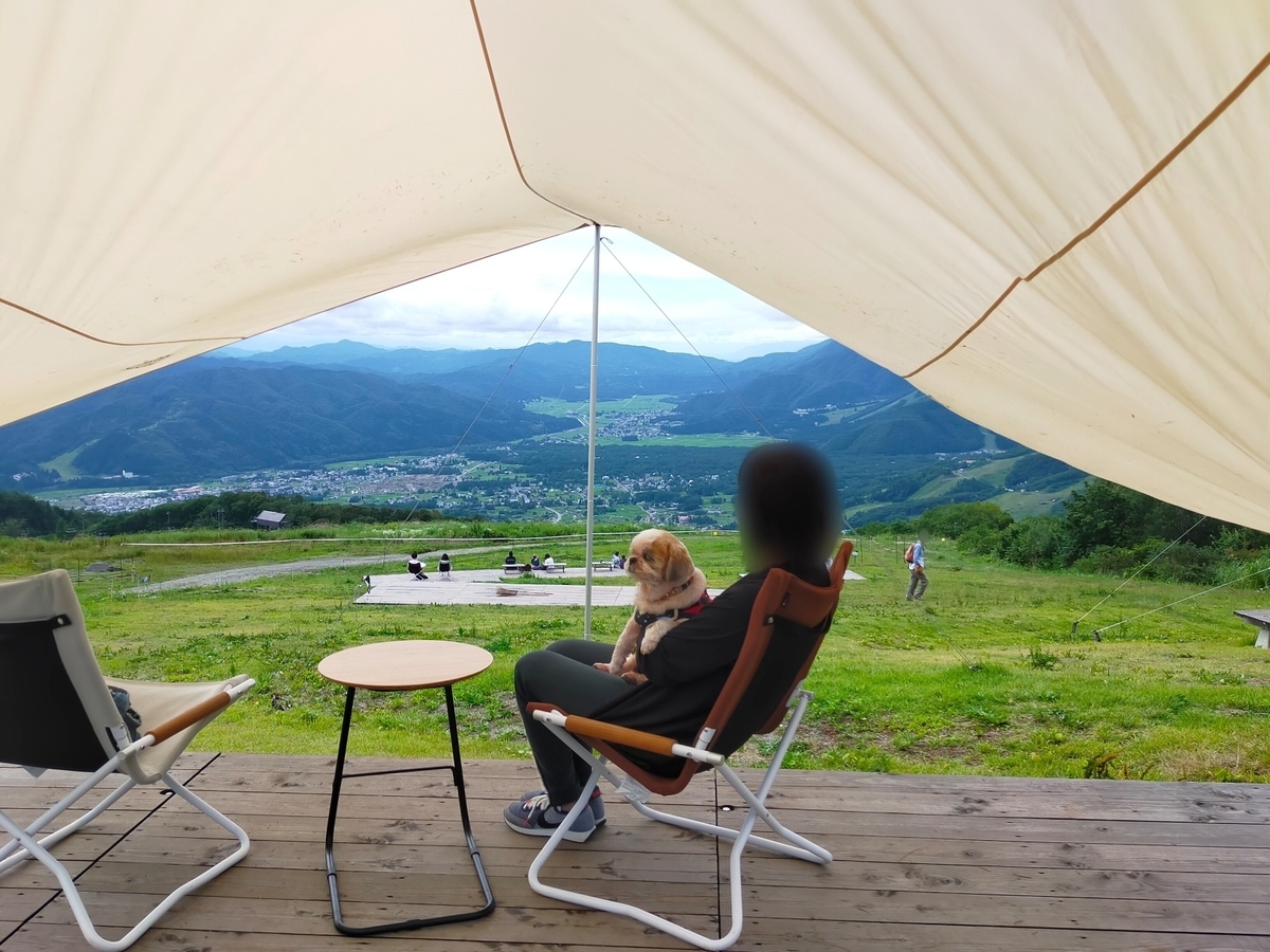 シーズー⁡ 長野県⁡ 信州⁡ 白馬⁡ 岩岳⁡ 白馬岩岳マウンテンリゾート⁡ 白馬マウンテンハーバー⁡ ペット可⁡ 北アルプス⁡ 絶景