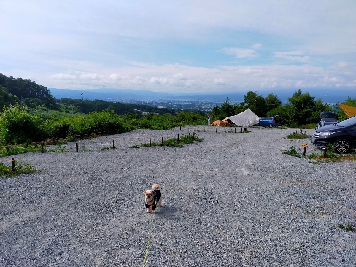 キャンピングトレーラー⁡ シーズー⁡ 長野県⁡ 小諸市⁡ ウィスラースカイベース小諸⁡ キャンプ⁡ キャンプ場⁡ キャンプ犬 場内 サイト