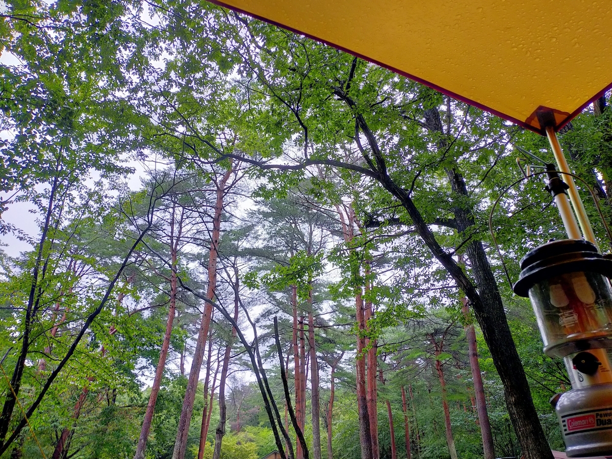 雨キャンプ ⁡⁡⁡キャンプ飯 ローストビーフ丼⁡ ミネストローネスープ⁡ アヒージョ ⁡⁡⁡⁡那須 ⁡キャンプラビット⁡ キャンピングトレーラー⁡ シーズー⁡ キャンプ犬⁡ 貸切露天風呂