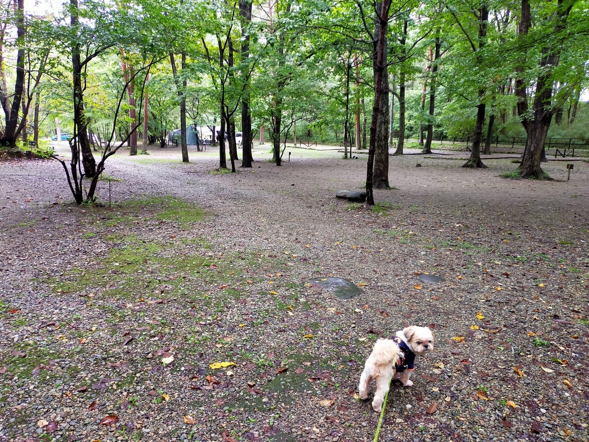 雨キャンプ ⁡⁡⁡キャンプ飯 ローストビーフ丼⁡ ミネストローネスープ⁡ アヒージョ ⁡⁡⁡⁡那須 ⁡キャンプラビット⁡ キャンピングトレーラー⁡ シーズー⁡ キャンプ犬⁡ 貸切露天風呂 サイトの雰囲気