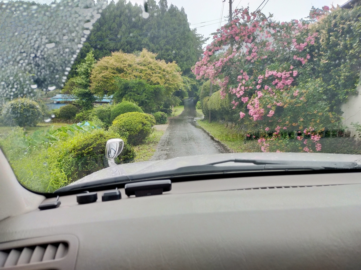 雨キャンプ ⁡⁡⁡キャンプ飯 ローストビーフ丼⁡ ミネストローネスープ⁡ アヒージョ ⁡⁡⁡⁡那須 ⁡キャンプラビット⁡ キャンピングトレーラー⁡ シーズー⁡ キャンプ犬⁡ 貸切露天風呂 アクセス 道 狭い