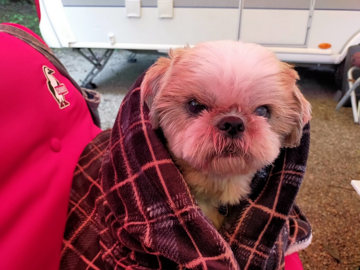 雨キャンプ ⁡⁡⁡キャンプ飯 ローストビーフ丼⁡ ミネストローネスープ⁡ アヒージョ ⁡⁡⁡⁡那須 ⁡キャンプラビット⁡ キャンピングトレーラー⁡ シーズー⁡ キャンプ犬⁡ 貸切露天風呂