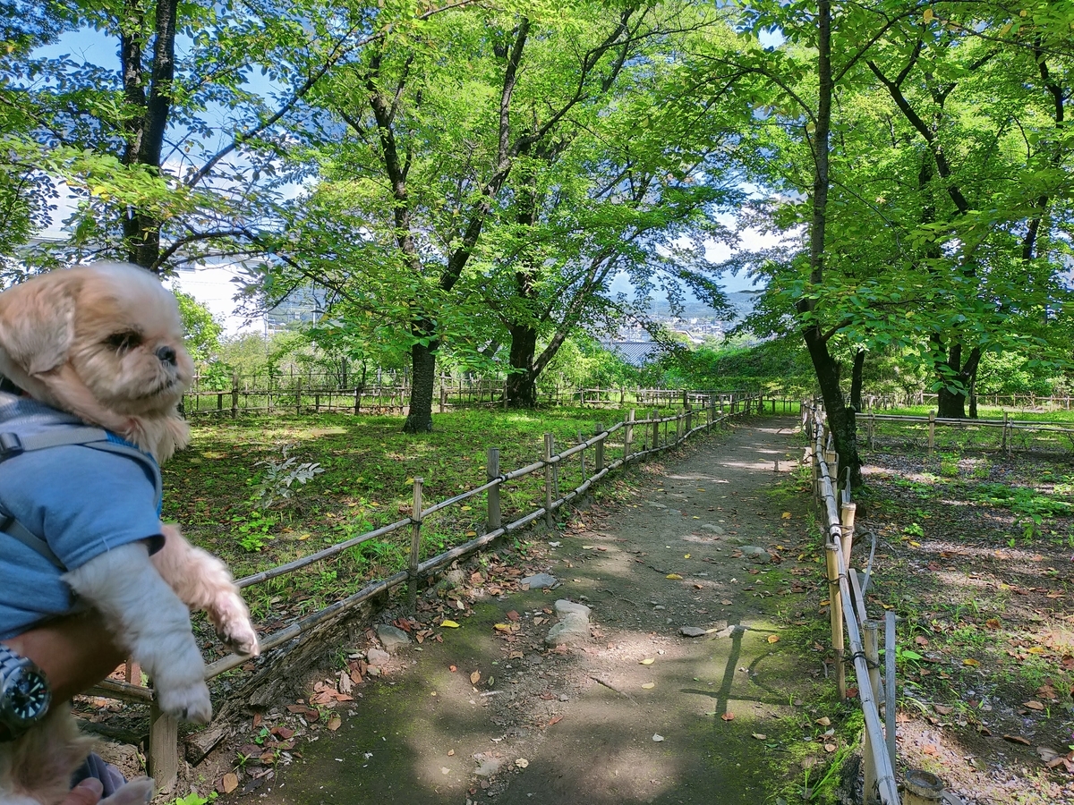 キャンピングトレーラー⁡⁡ シーズー ⁡⁡長野県 ⁡⁡小諸市⁡⁡  ⁡⁡小諸城 小諸城址 旅犬