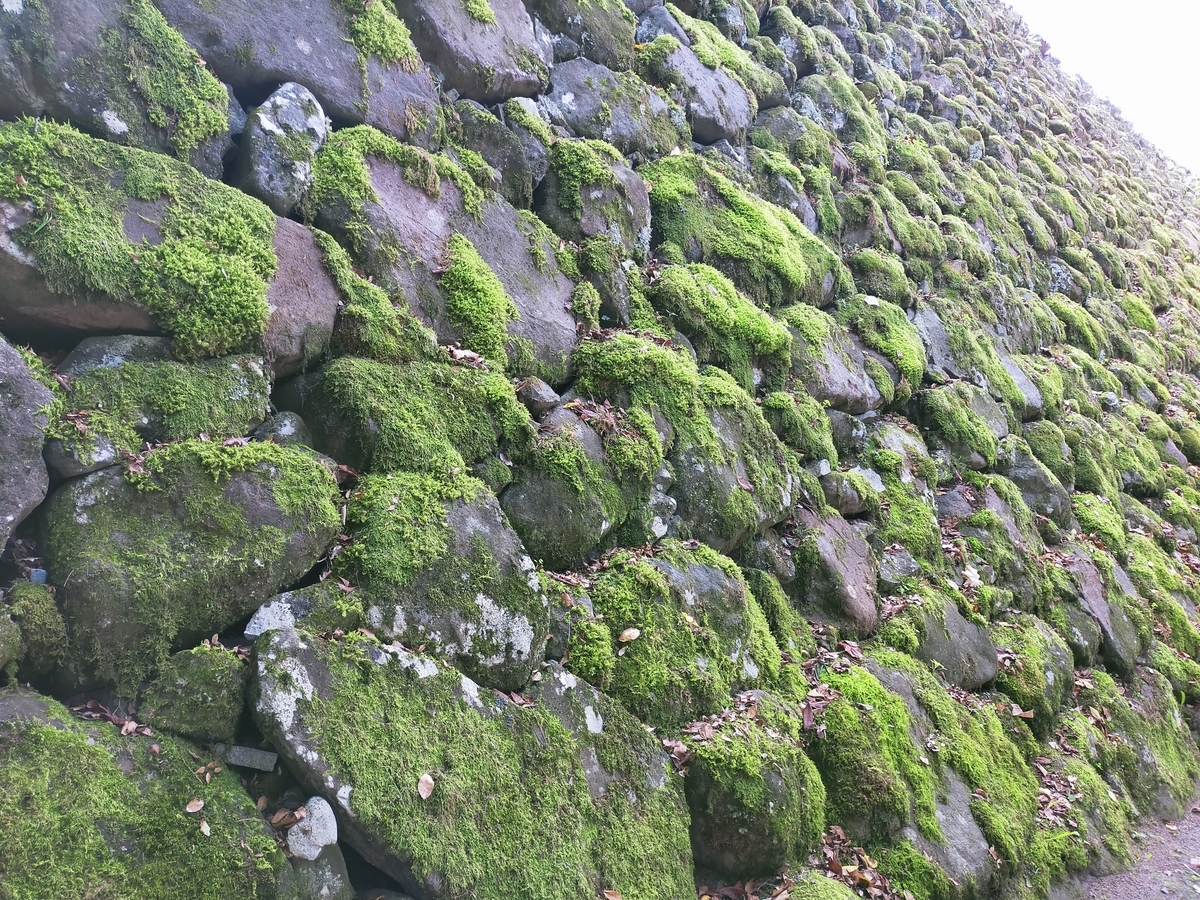 キャンピングトレーラー⁡⁡ シーズー ⁡⁡長野県 ⁡⁡小諸市⁡⁡  ⁡⁡小諸城 小諸城址 旅犬