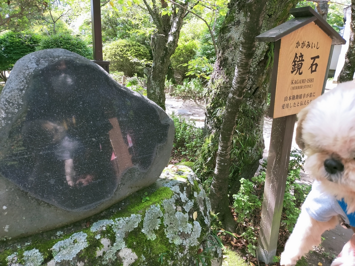 キャンピングトレーラー⁡⁡ シーズー ⁡⁡長野県 ⁡⁡小諸市⁡⁡  ⁡⁡小諸城 小諸城址 旅犬