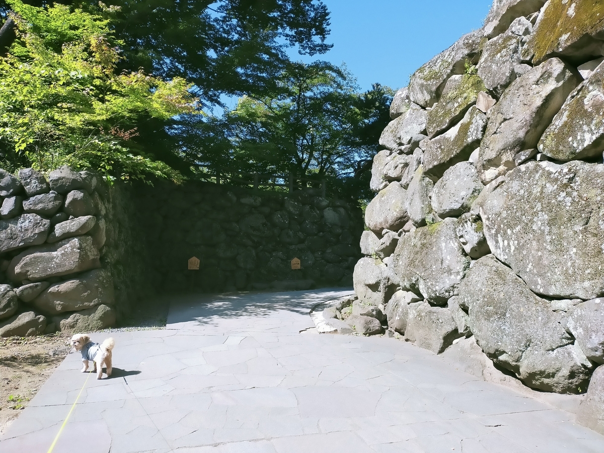 キャンピングトレーラー⁡⁡ シーズー ⁡⁡長野県 ⁡⁡小諸市⁡⁡  ⁡⁡小諸城 小諸城址 旅犬