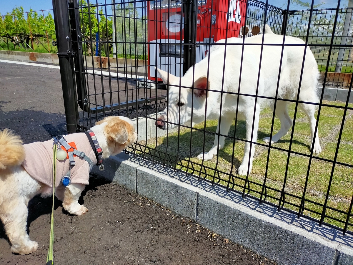 RVパーク CARSLAND