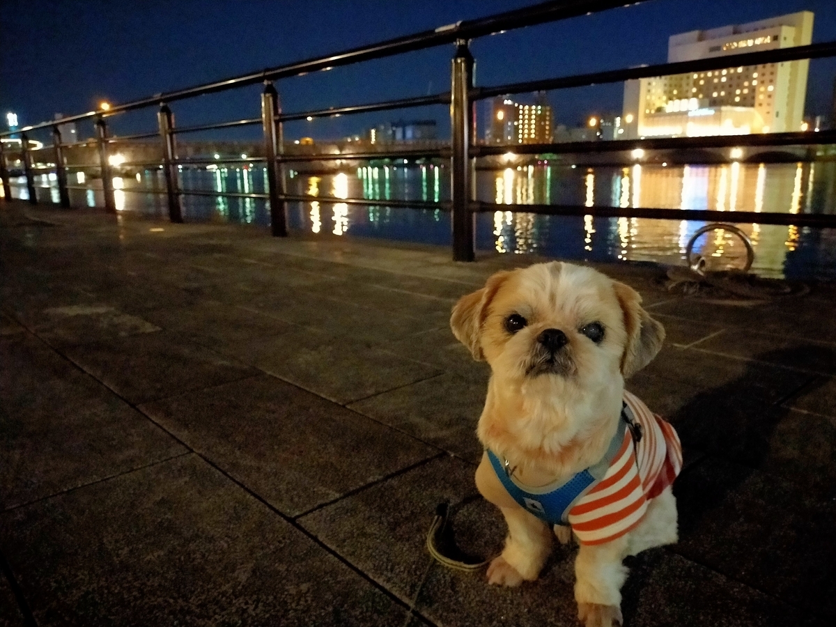 国指定重要文化財 萬代橋
