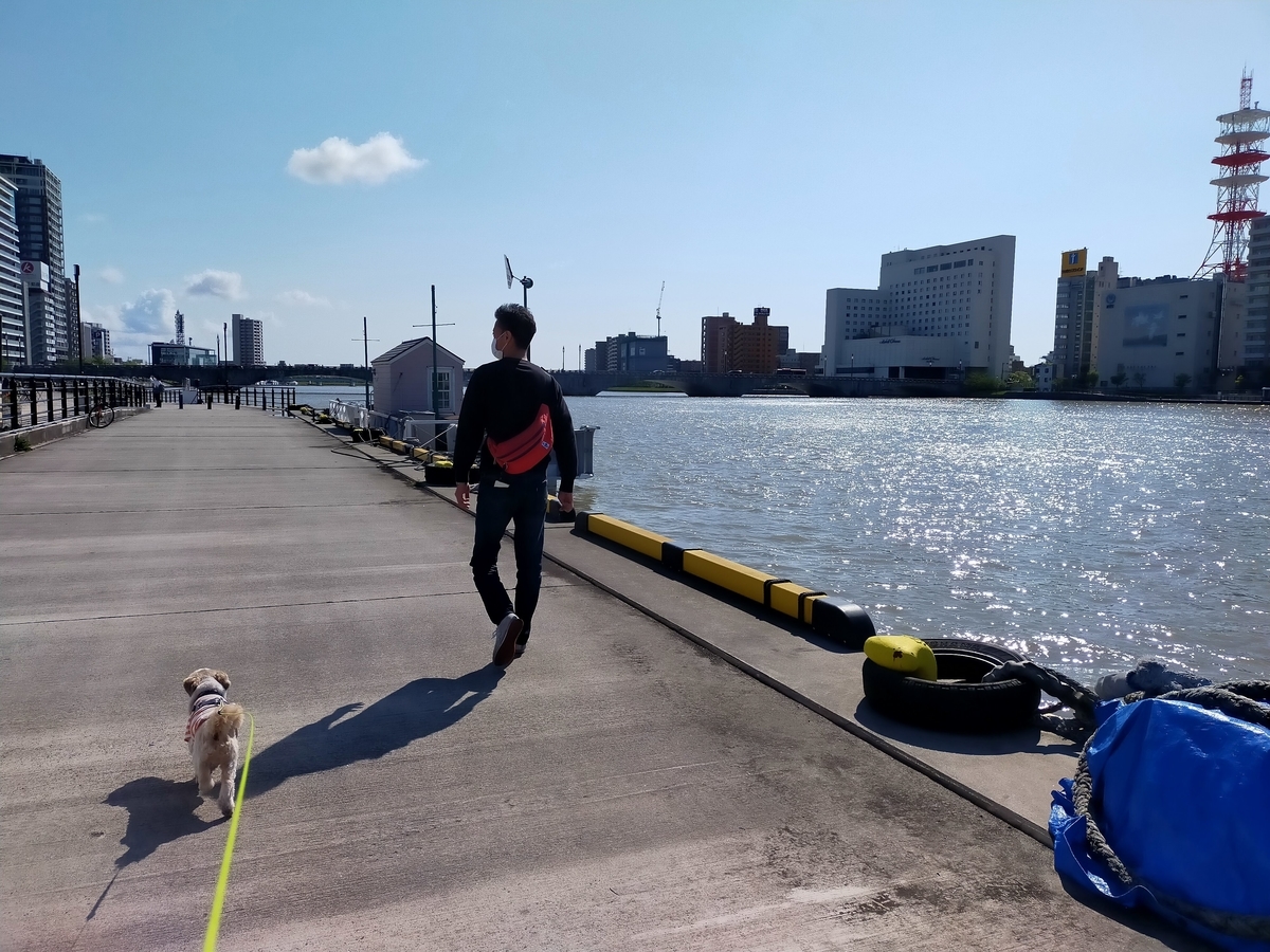 国指定重要文化財 萬代橋