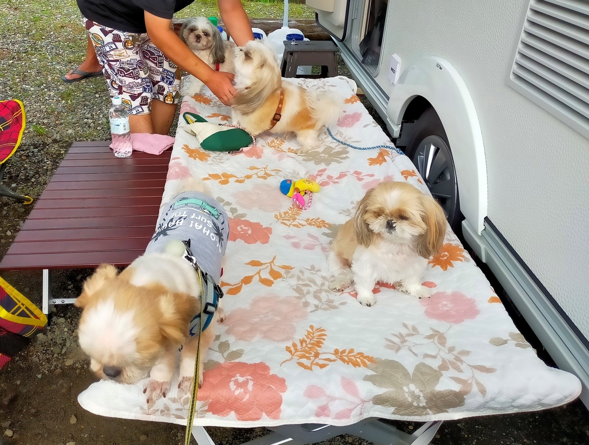 長野県 ⁡白馬村⁡ 倉下の湯 ⁡倉下の湯カーステイパーク ⁡車中泊 ⁡キャンピングトレーラー シーズー 