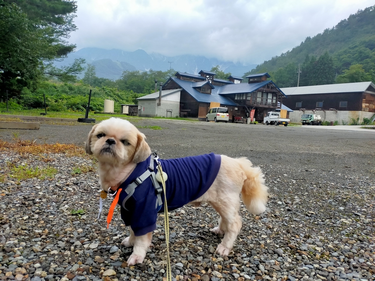 長野県 ⁡白馬村⁡ 倉下の湯 ⁡倉下の湯カーステイパーク ⁡車中泊 ⁡キャンピングトレーラー シーズー 