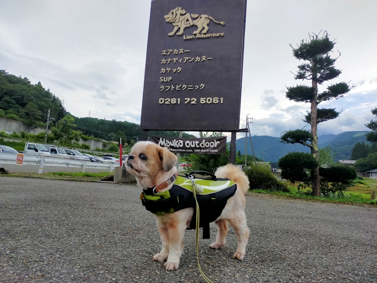 長野県 白馬村 青木湖 白馬ライオンアドベンチャー カヤック シットオンカヤック ペット可