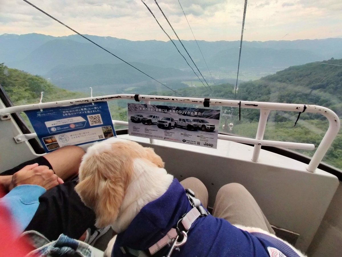 長野県 ⁡白馬村 ⁡岩岳 ⁡白馬岩岳マウンテンリゾート ⁡白馬岩岳マウンテンハーバー ⁡ペット可 ゴンドラ 