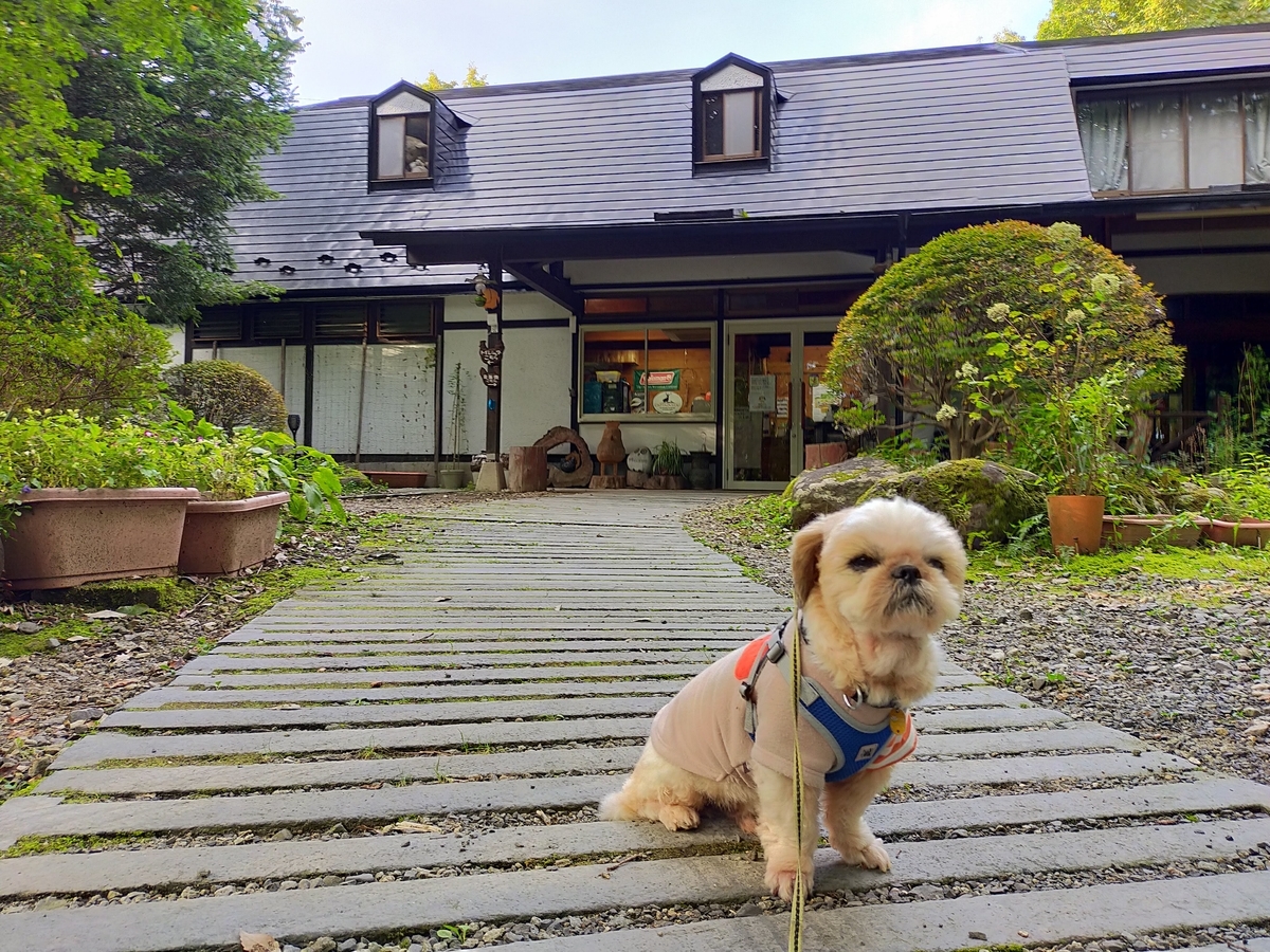 こっこランド那須FCG こっこランド那須 栃木県 那須町 キャンプ キャンプ場 キャンピングトレーラー シーズー 受付