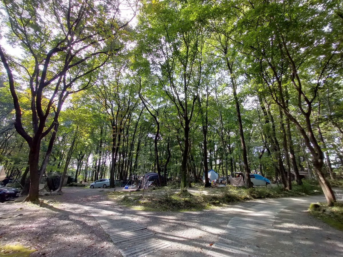 こっこランド那須FCG こっこランド那須 栃木県 那須町 キャンプ キャンプ場 キャンピングトレーラー シーズー 場内
