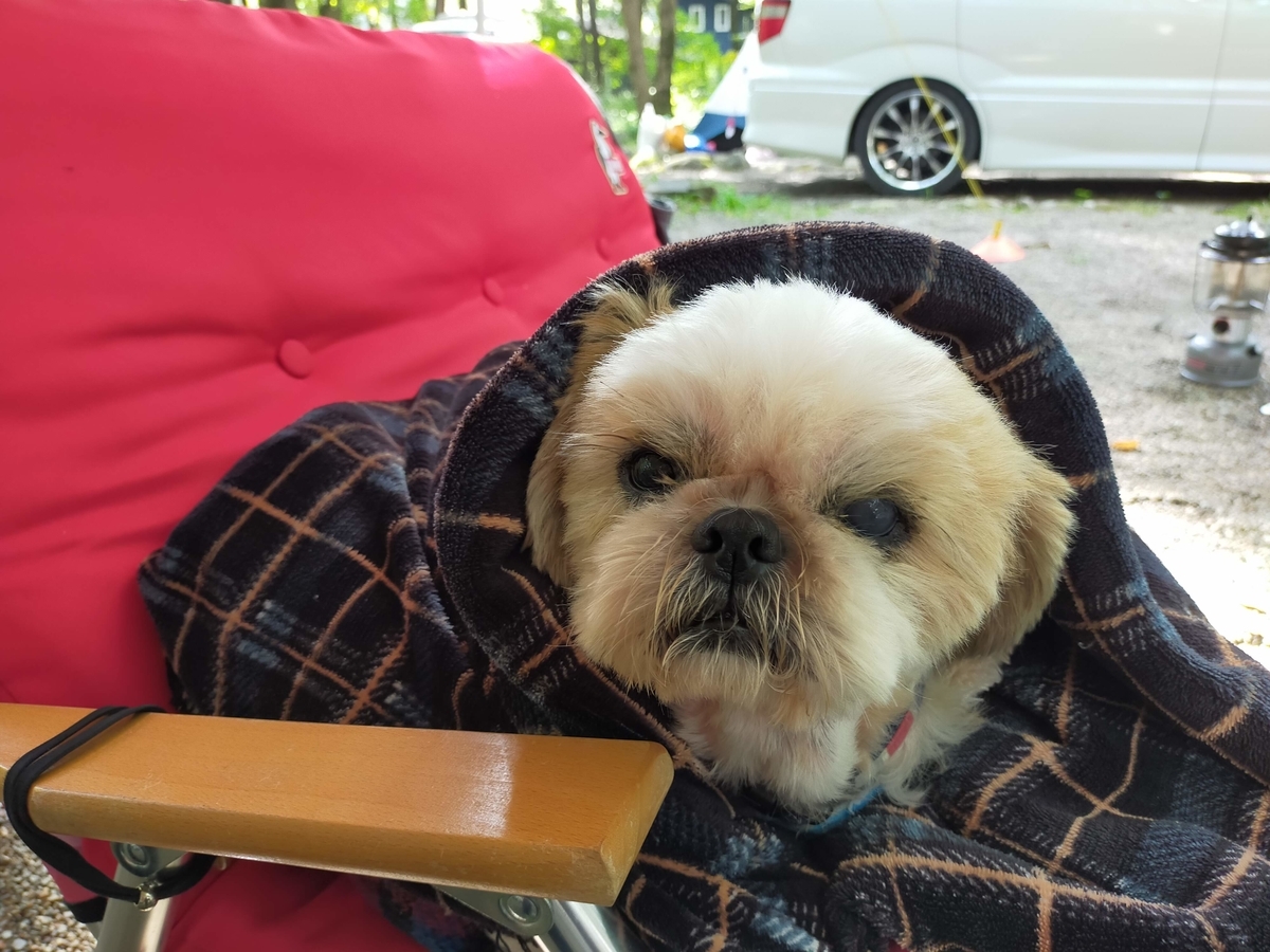 こっこランド那須FCG こっこランド那須 栃木県 那須町 キャンプ キャンプ場 キャンピングトレーラー シーズー