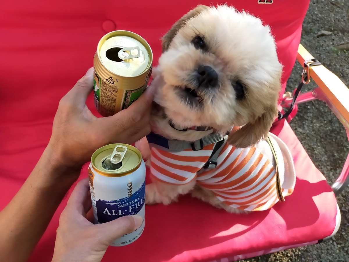 こっこランド那須FCG こっこランド那須 栃木県 那須町 キャンプ キャンプ場 キャンピングトレーラー シーズー 乾杯