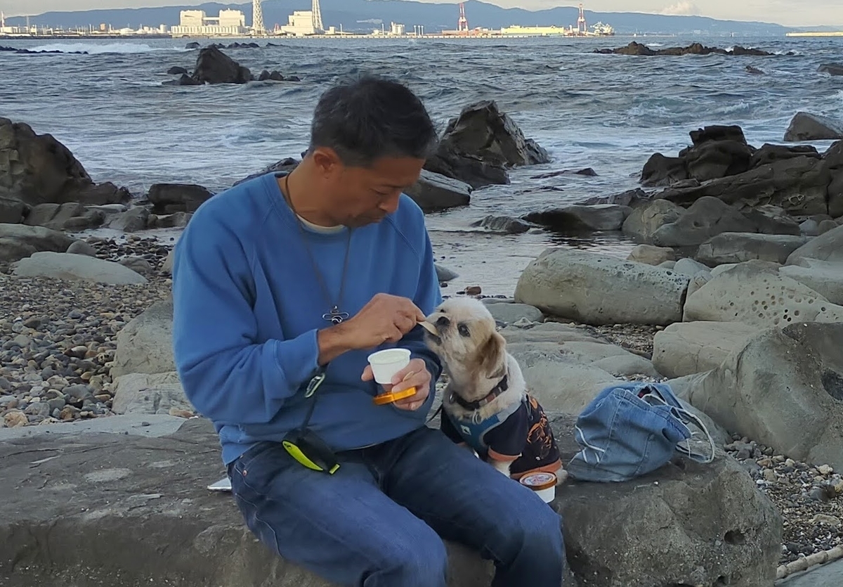くるま旅クラブ 湯YOUパーク いそざき温泉ホテルニュー白亜紀 ホテルニュー白亜紀 キャンピングトレーラー 車中泊 シーズー 海