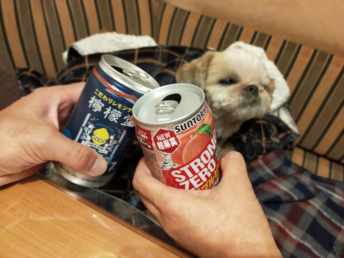くるま旅クラブ 湯YOUパーク いそざき温泉ホテルニュー白亜紀 ホテルニュー白亜紀 キャンピングトレーラー 車中泊 乾杯