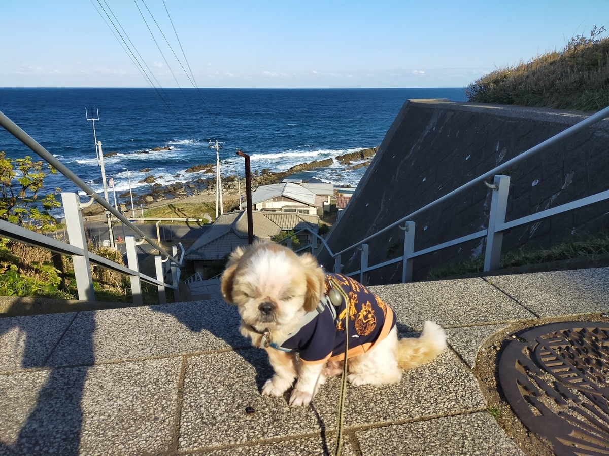 くるま旅クラブ 湯YOUパーク いそざき温泉ホテルニュー白亜紀 ホテルニュー白亜紀 キャンピングトレーラー 車中泊 シーズー