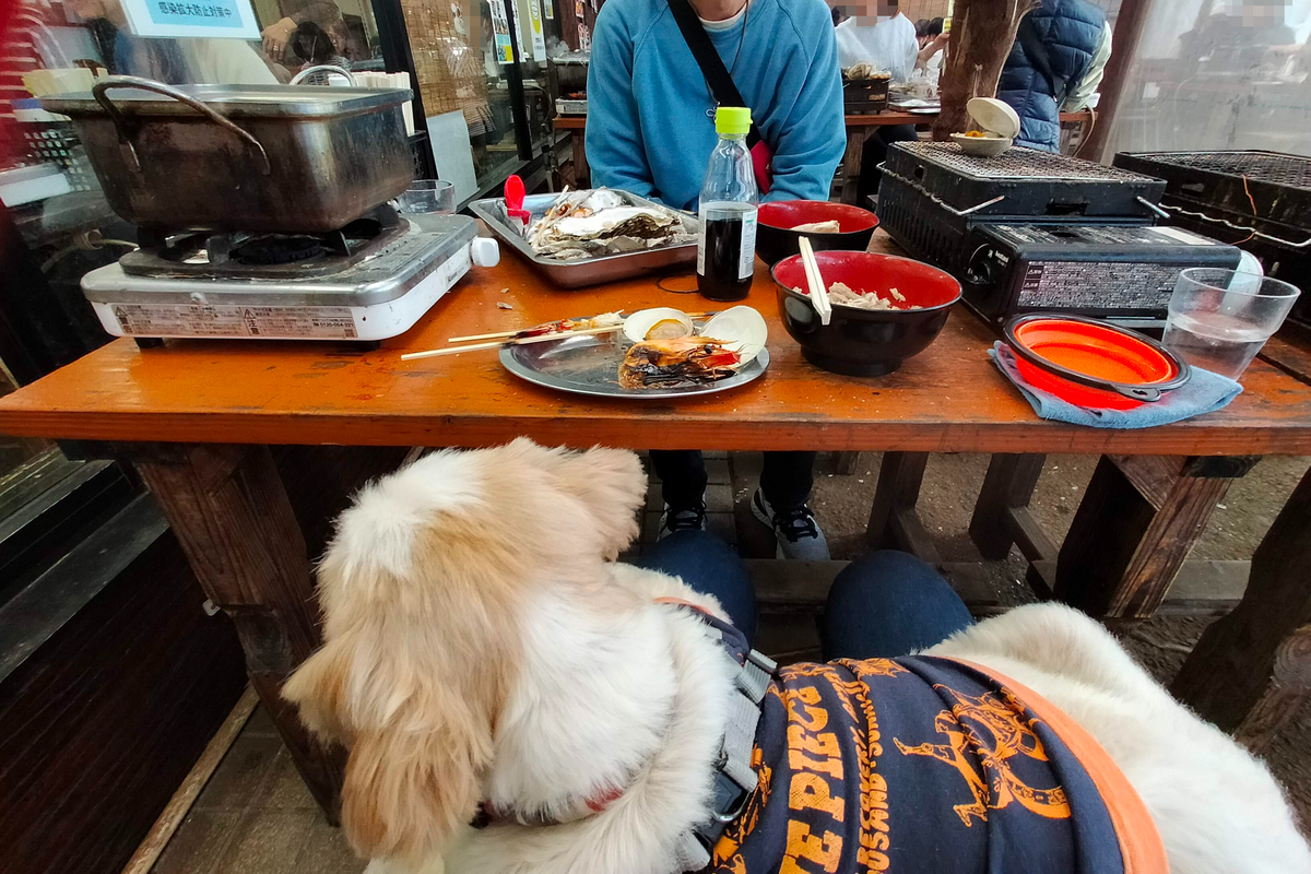 大洗 カキ小屋 ガンガン焼き ペット可 シーズー 