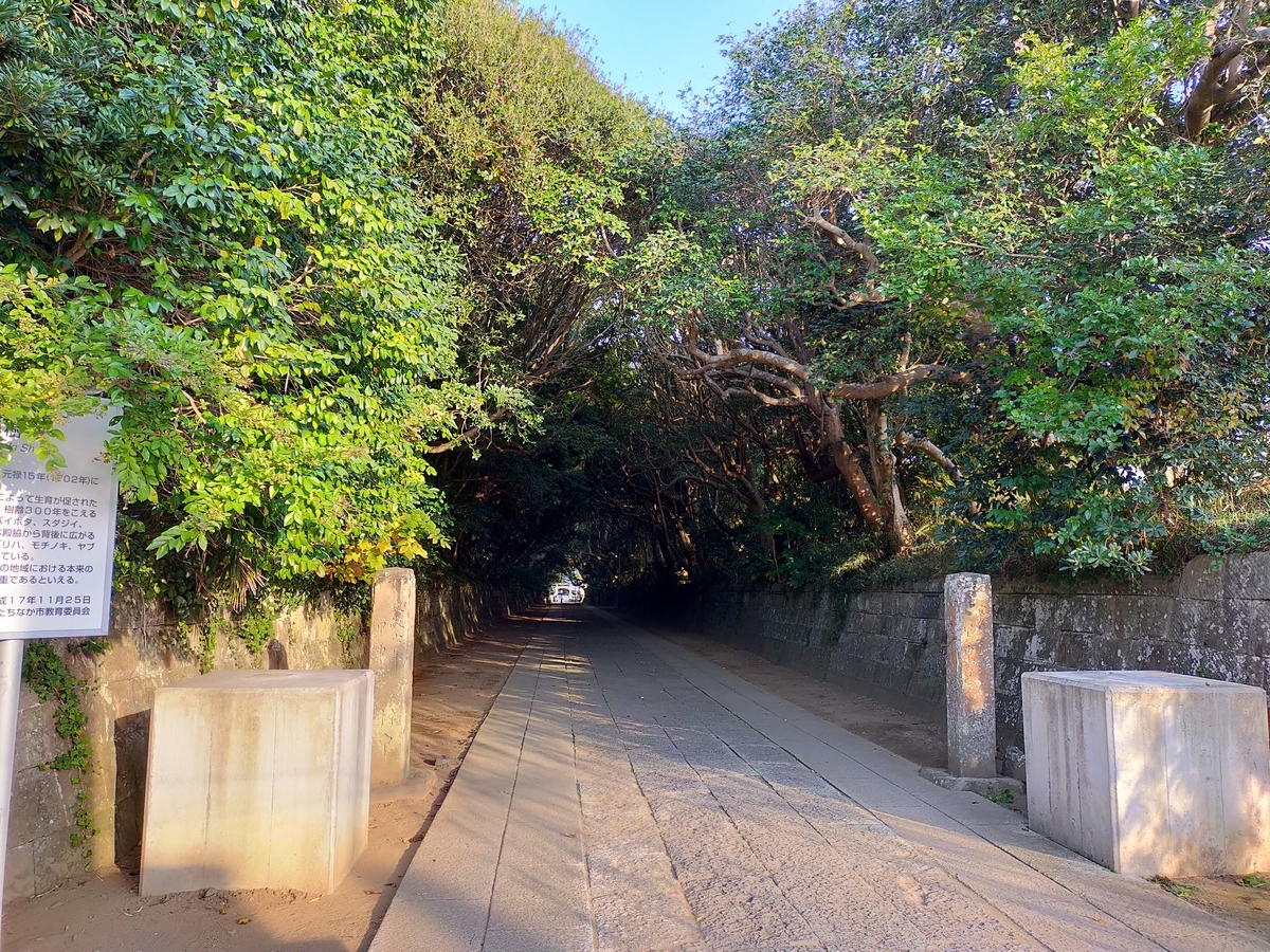 酒列磯前神社 樹叢 