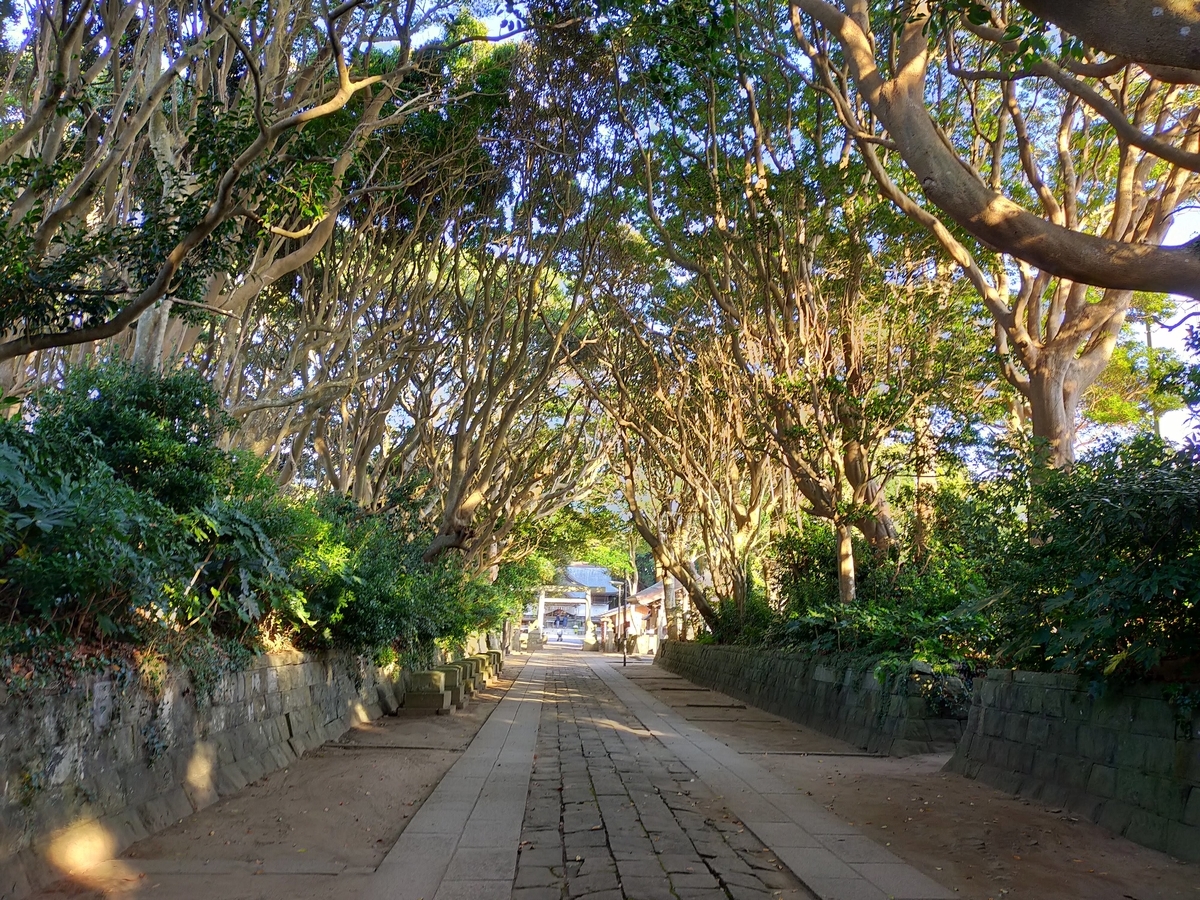 酒列磯前神社 樹叢 