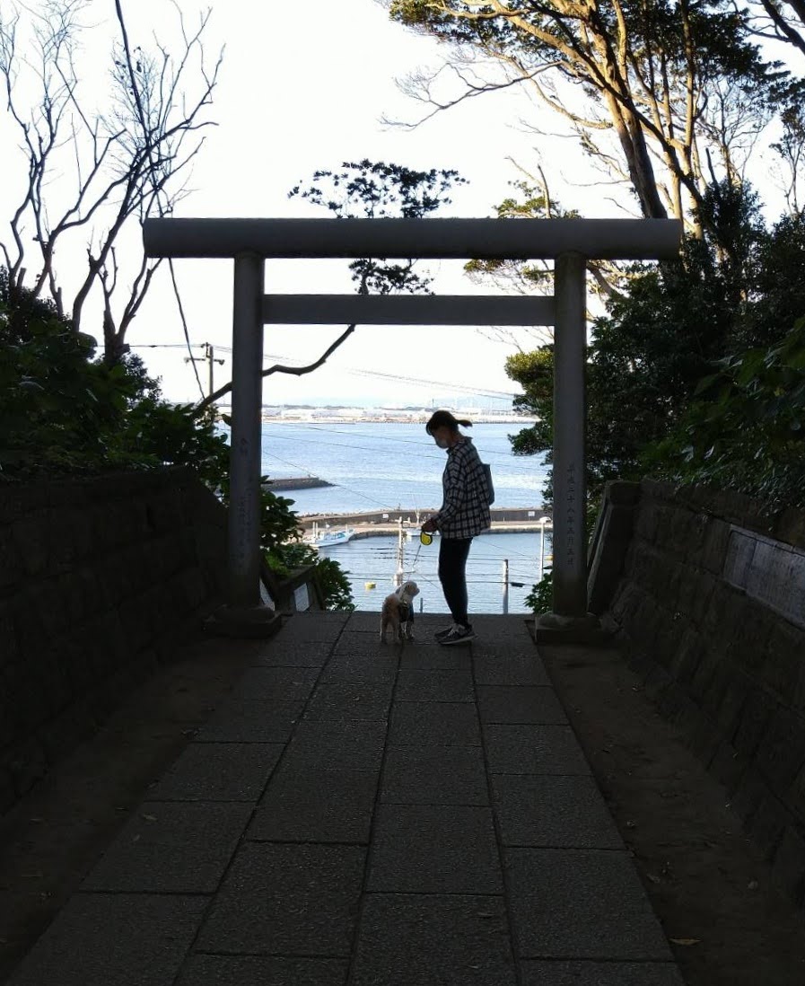 酒列磯前神社 海が見える鳥居 