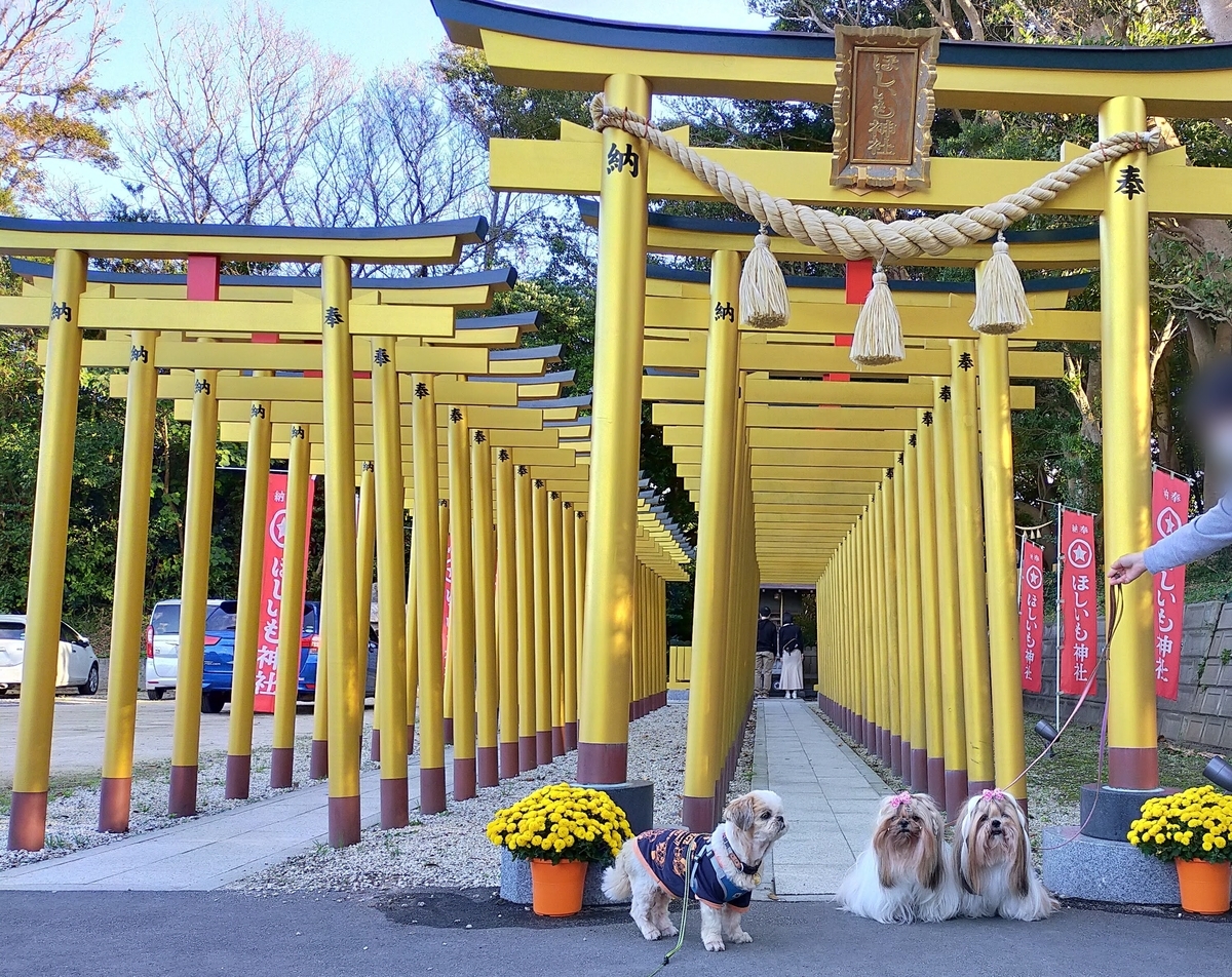 ほしいも神社