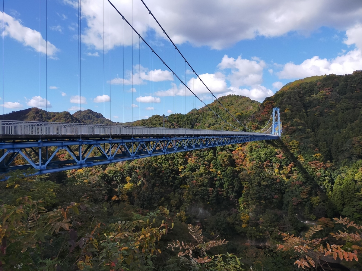 竜神大吊橋 常陸太田市 ペット可 シーズー 