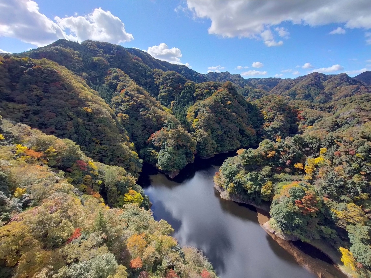 竜神大吊橋 常陸太田市 ペット可 シーズー 