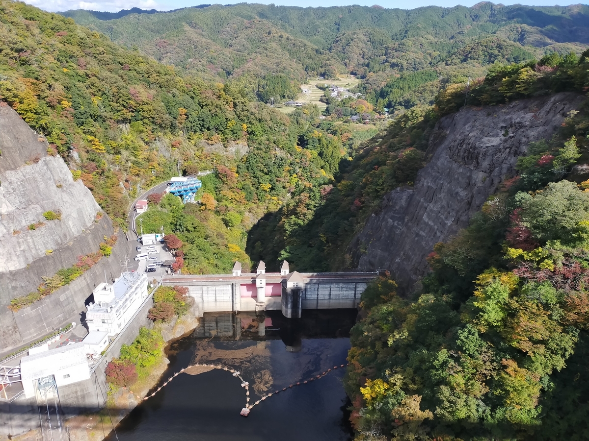 竜神大吊橋 常陸太田市 ペット可 シーズー 