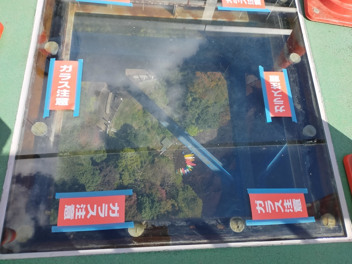 竜神大吊橋 常陸太田市 ペット可 シーズー 