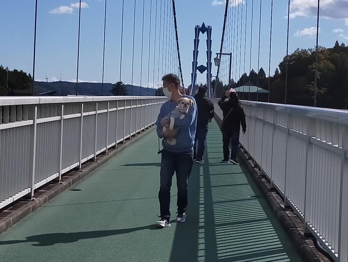 竜神大吊橋 常陸太田市 ペット可 シーズー 