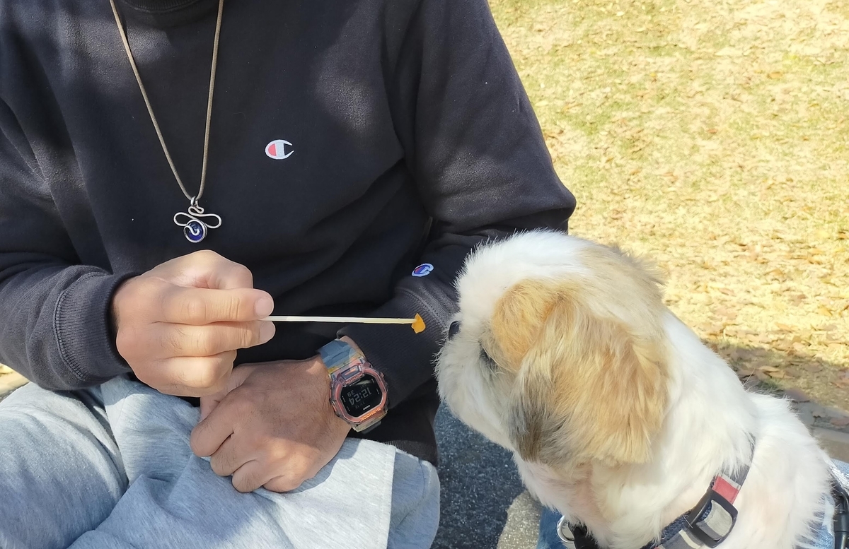 山梨県 笛吹川フルーツ公園 ペットOK