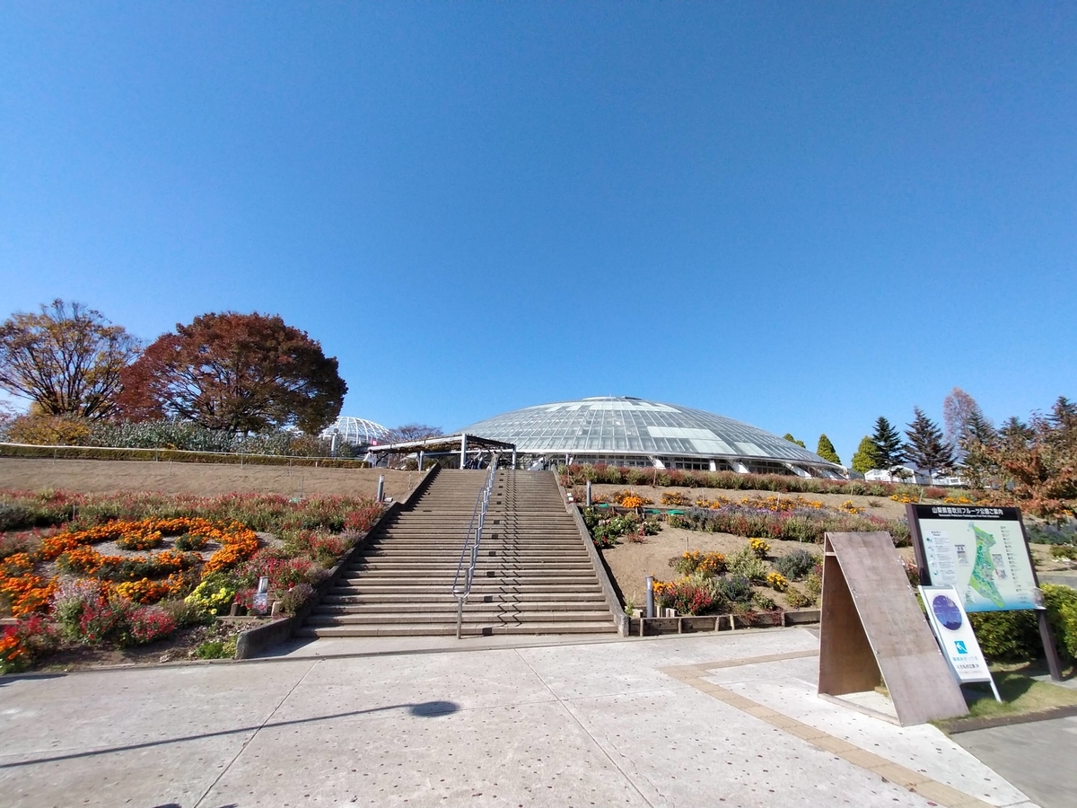 山梨県 笛吹川フルーツ公園 ペットOK