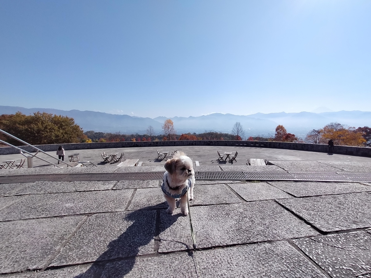山梨県 笛吹川フルーツ公園 ペットOK