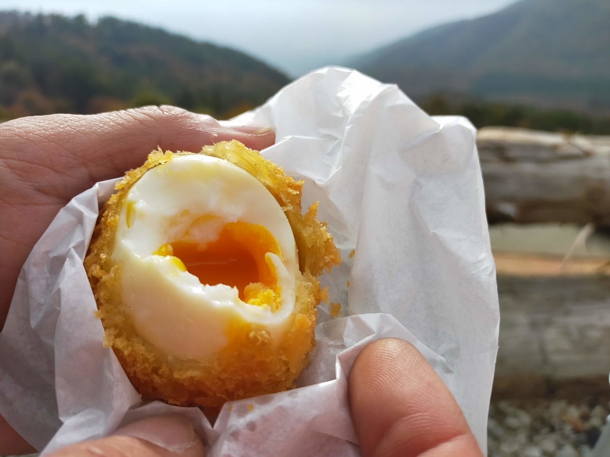 山梨市 ほったらかしキャンプ場 キャンプ シーズー ほったらかし温泉 温玉揚げ