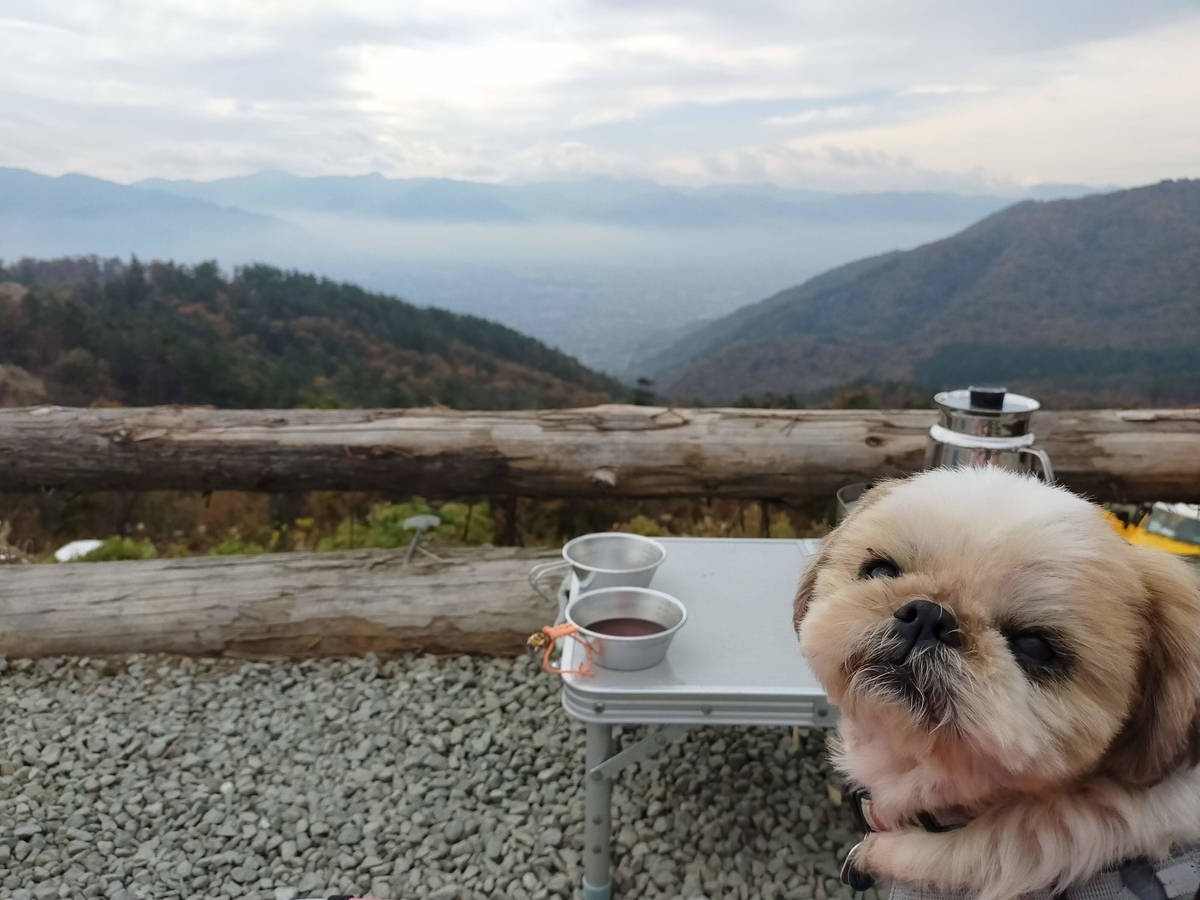 山梨市 ほったらかしキャンプ場 キャンプ シーズー 