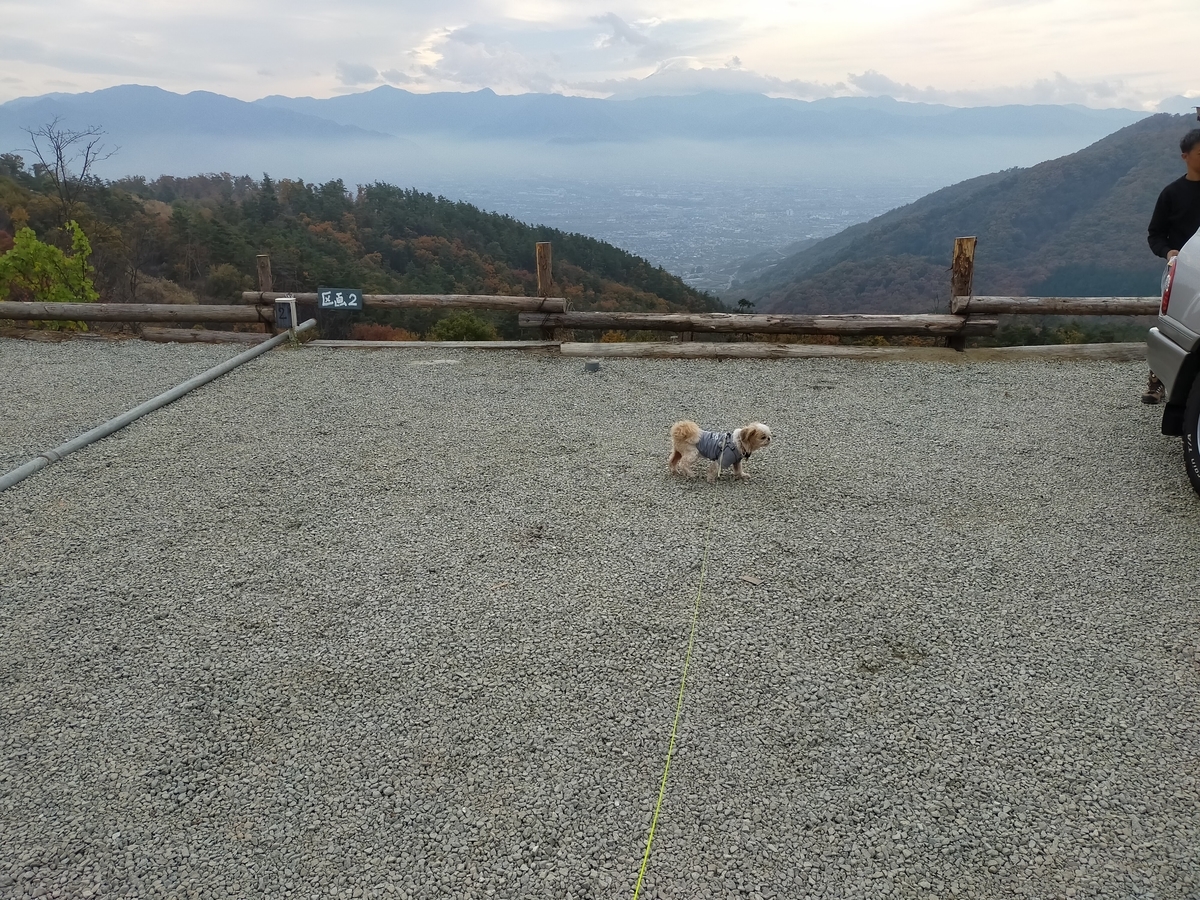 山梨市 ほったらかしキャンプ場 キャンプ シーズー 区画2