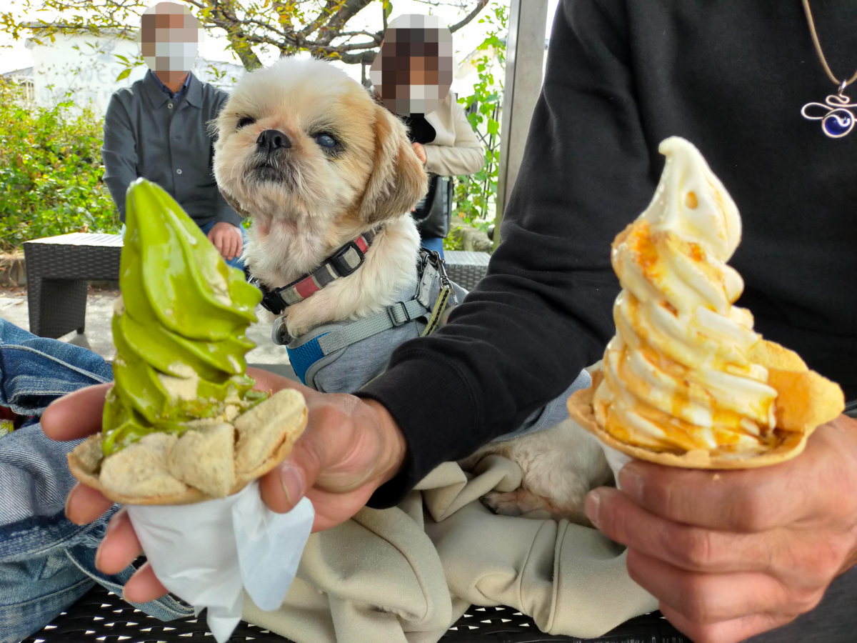桔梗信玄餅 工場テーマパーク 山梨県 笛吹市 