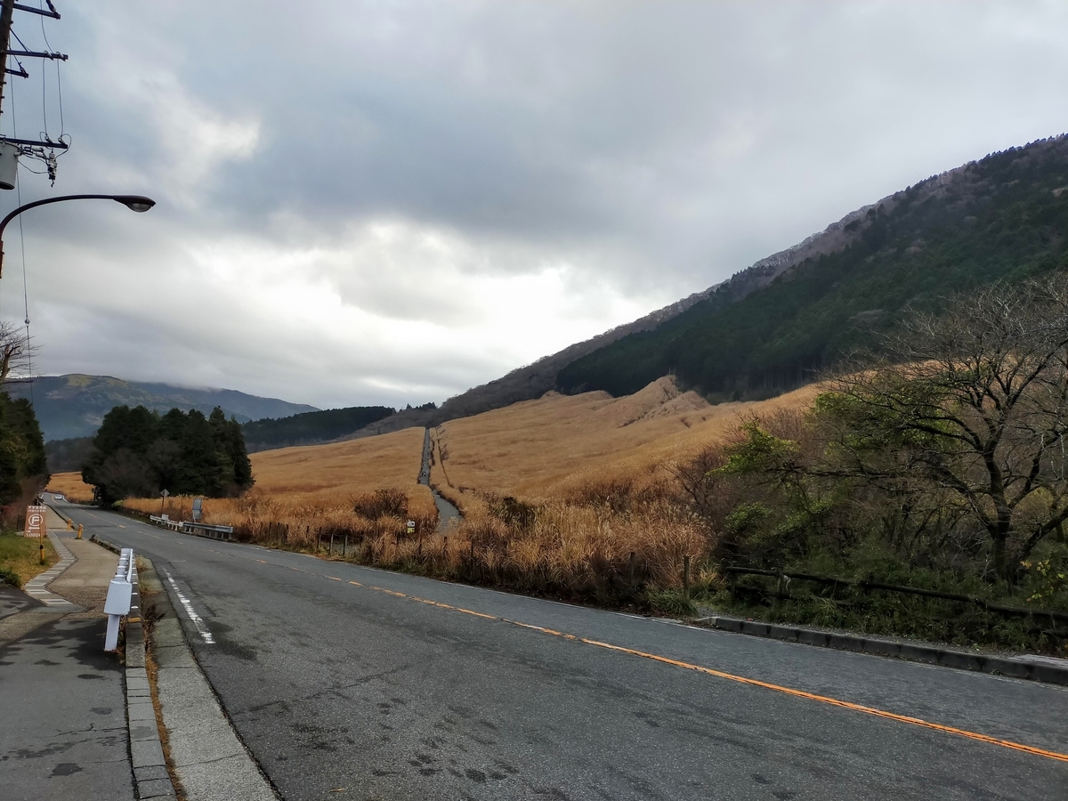 神奈川県 箱根 仙石高原大箱根一の湯 仙石高原 大箱根一の湯 ペット可 シーズー 仙石原すすき草原